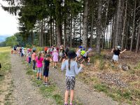 IMG-20220819-WA0181