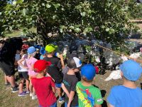 Muj-prvni-tabor-3.-turnus-2024_41