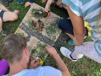 Muj-prvni-tabor-4.-turnus-2023_33