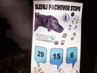 Podzimni_tabor_2024_30