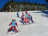 Zimni_mini_1_2023_31