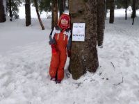 Zimni_minitabor_2019_1_113