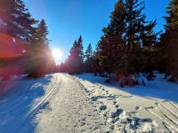 Zimni_minitabor_3turnus_16