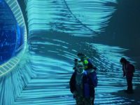 meduzy_08_result